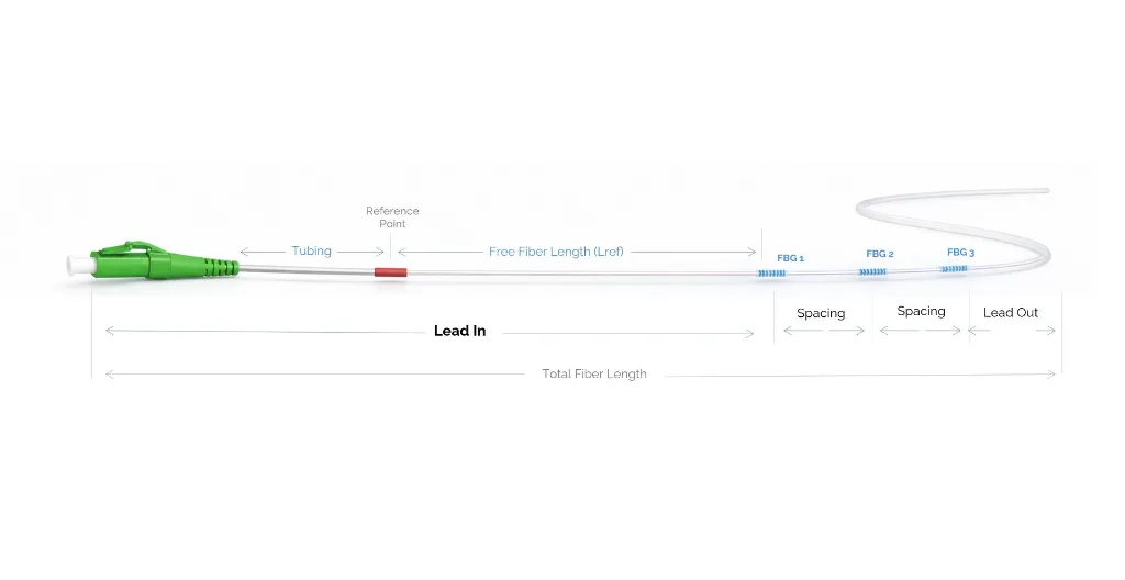 config.webp